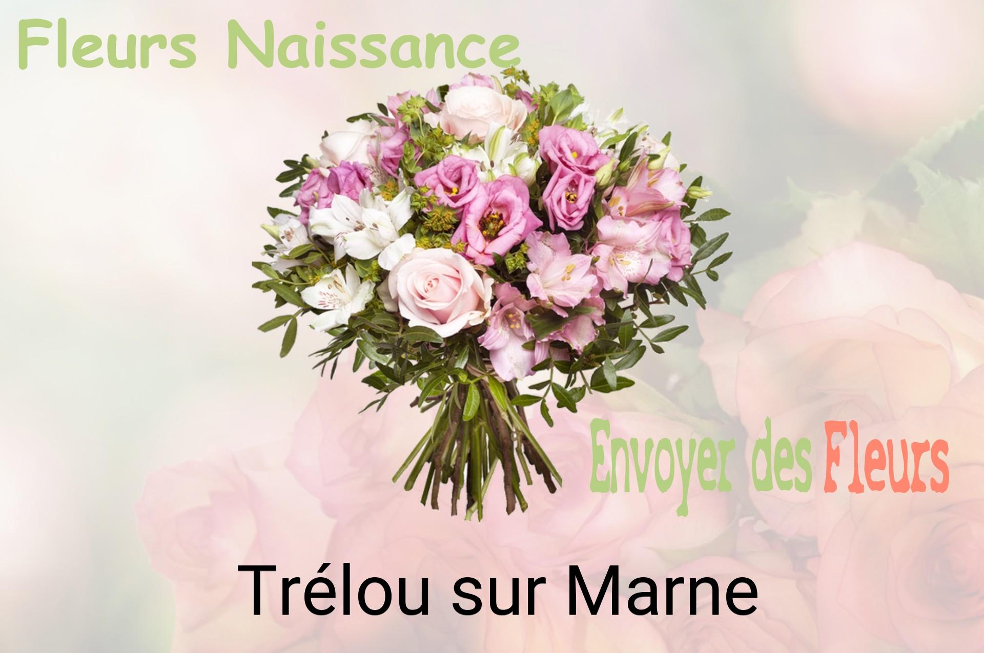 Bouquet de fleurs de naissance livré à Trélou-sur-Marne